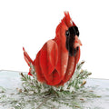 Winter Cardinal Birthday Pop-Up Card and Sentiment Set