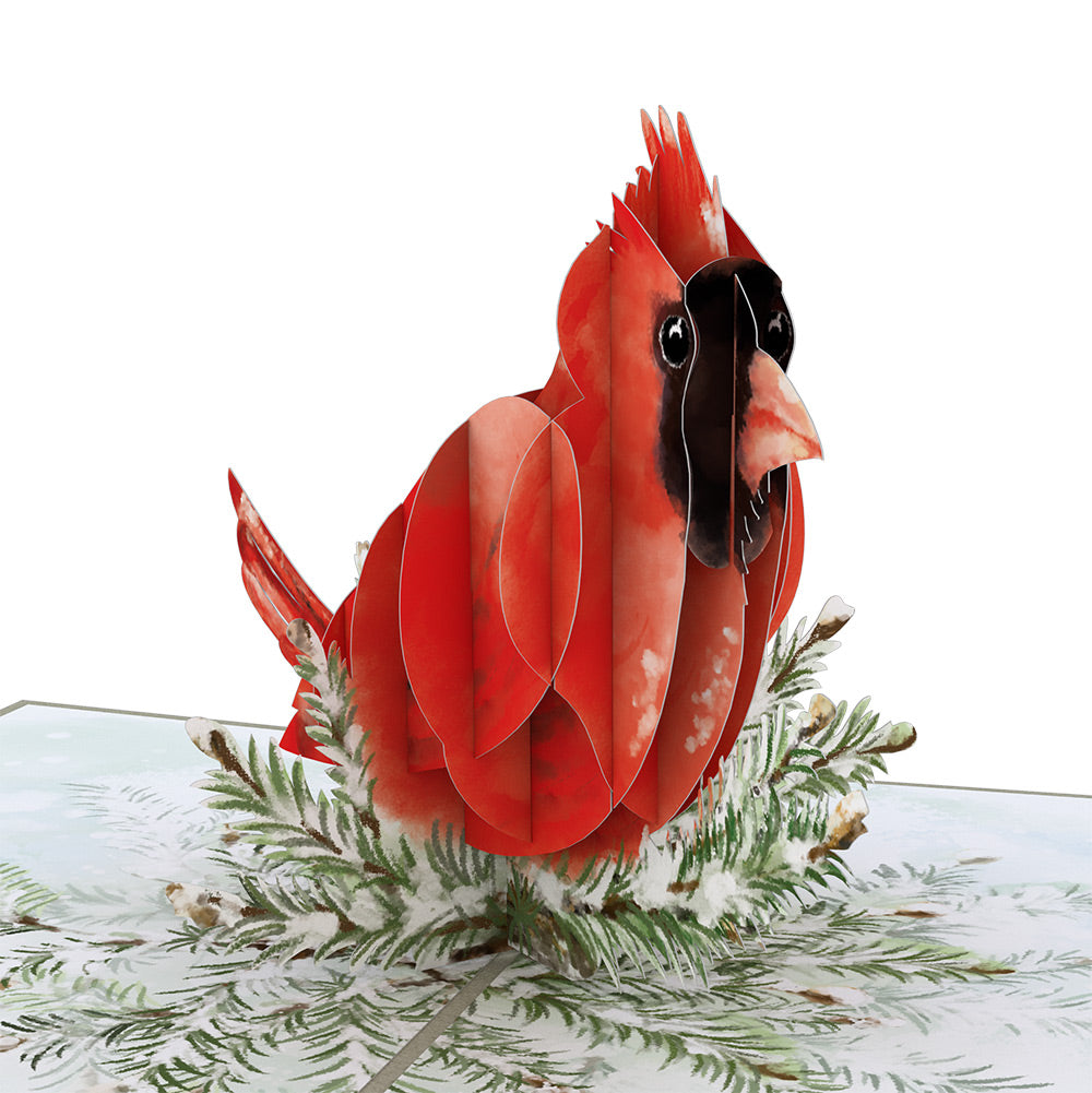 Winter Cardinal First Christmas Pop-Up Card and Sentiment Set for Partner