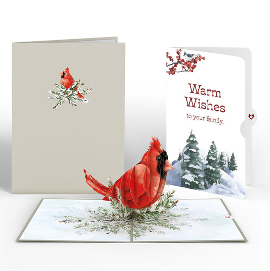 Winter Cardinal Pop-Up Card and Warm Wishes Sentiment Set for Family