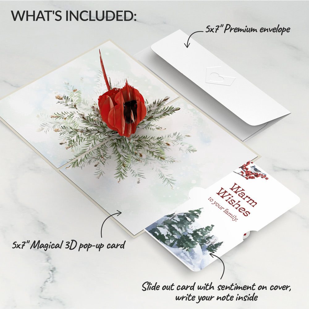 Winter Cardinal Pop-Up Card and Warm Wishes Sentiment Set for Family