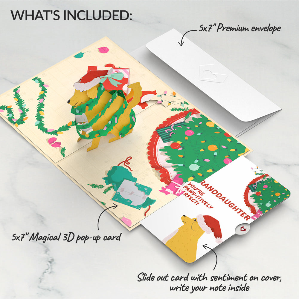Feliz Naughty Dog Christmas Pop-Up Card and Sentiment Set for Granddaughter