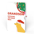 Feliz Naughty Dog Christmas Pop-Up Card and Sentiment Set for Grandson