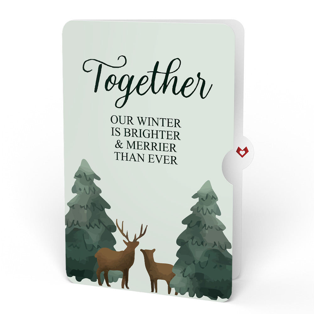 Winter Wishes Mountain Village Light-Up Pop-Up Card and Woodland Deer Together Sentiment Set