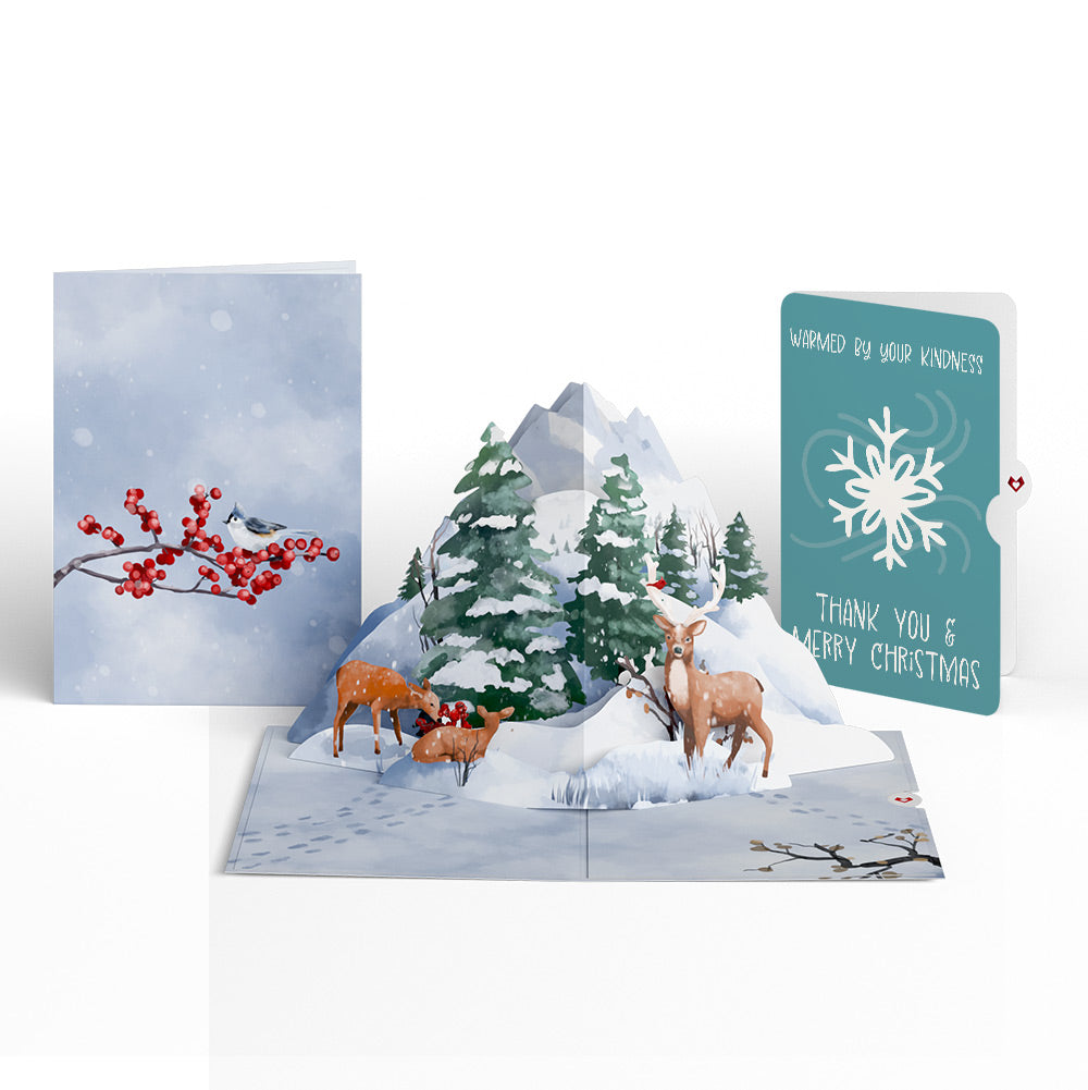 Snowfall's Hush Christmas Pop-Up Card and Snowflake Kindness Sentiment Set