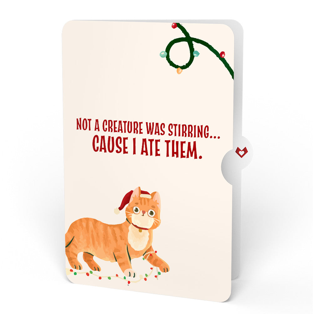 Meowy Cat-mess Christmas Pop-Up Card and Hungry Sentiment Set
