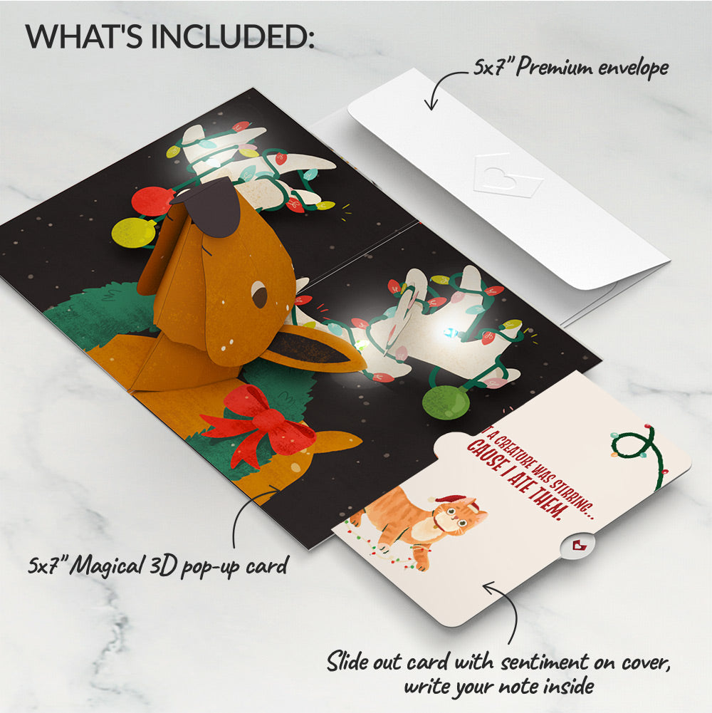 All Is Bright Holiday Reindeer Light-Up Pop-Up Card and Hungry Cat Sentiment Set