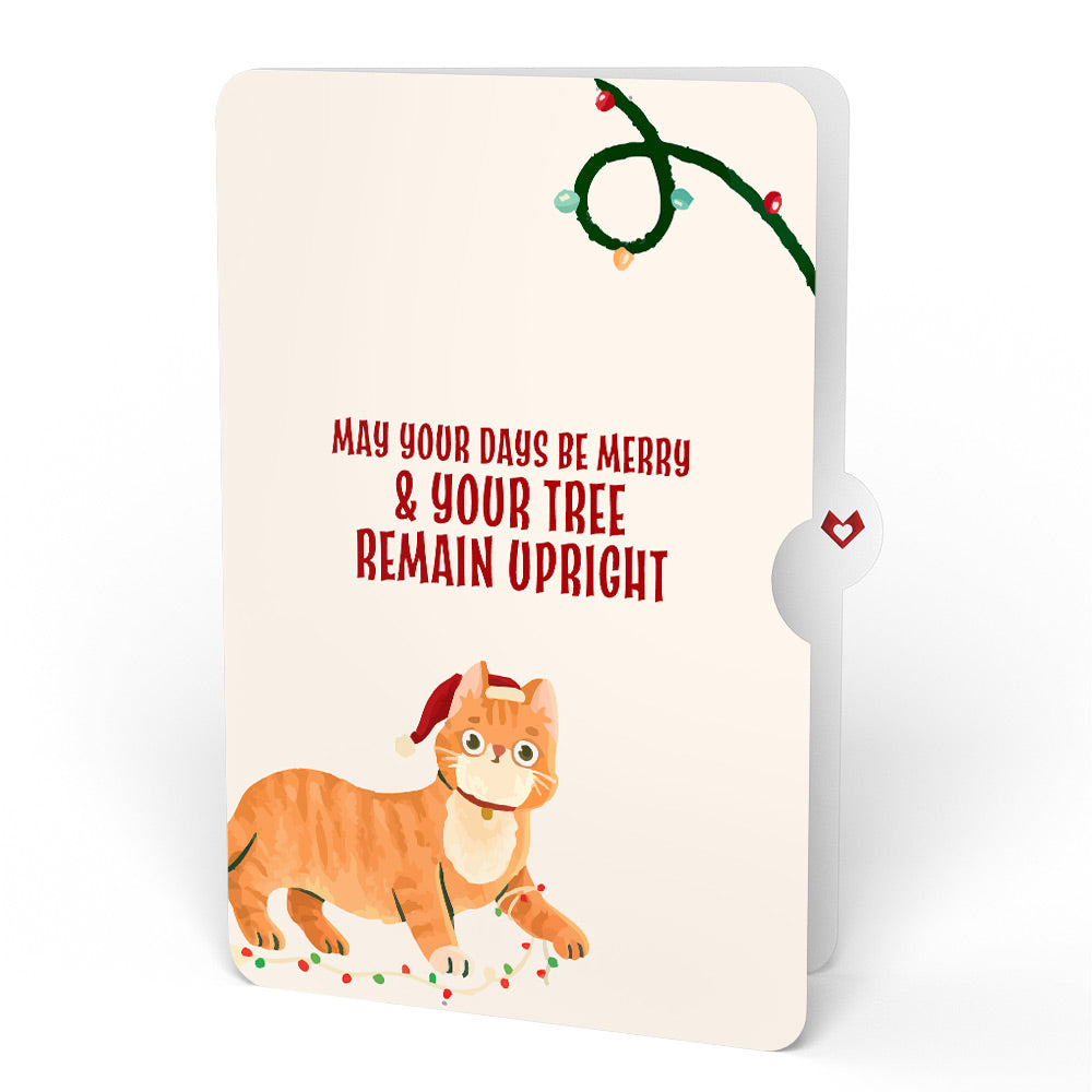 Poinsettia Shimmer Christmas Suncatcher Bouquet and Funny Cat Sentiment Set