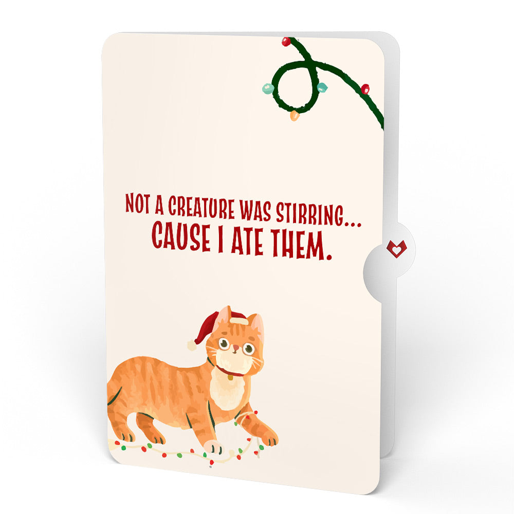 Poinsettia Shimmer Christmas Suncatcher Bouquet and Hungry Cat Sentiment Set