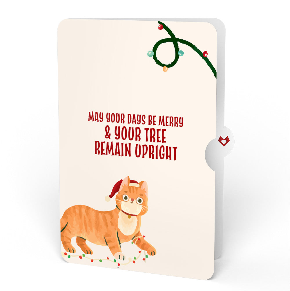 Christmas Gnomes Pop-Up Card and Funny Cat Sentiment Set