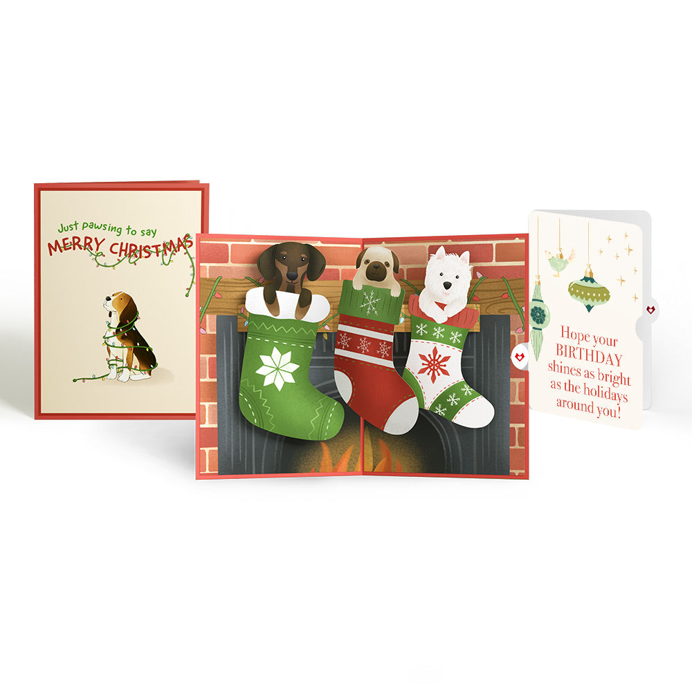 Christmas Dog Stockings Pop-Up Card and Twinkling Ornaments Birthday Sentiment Set