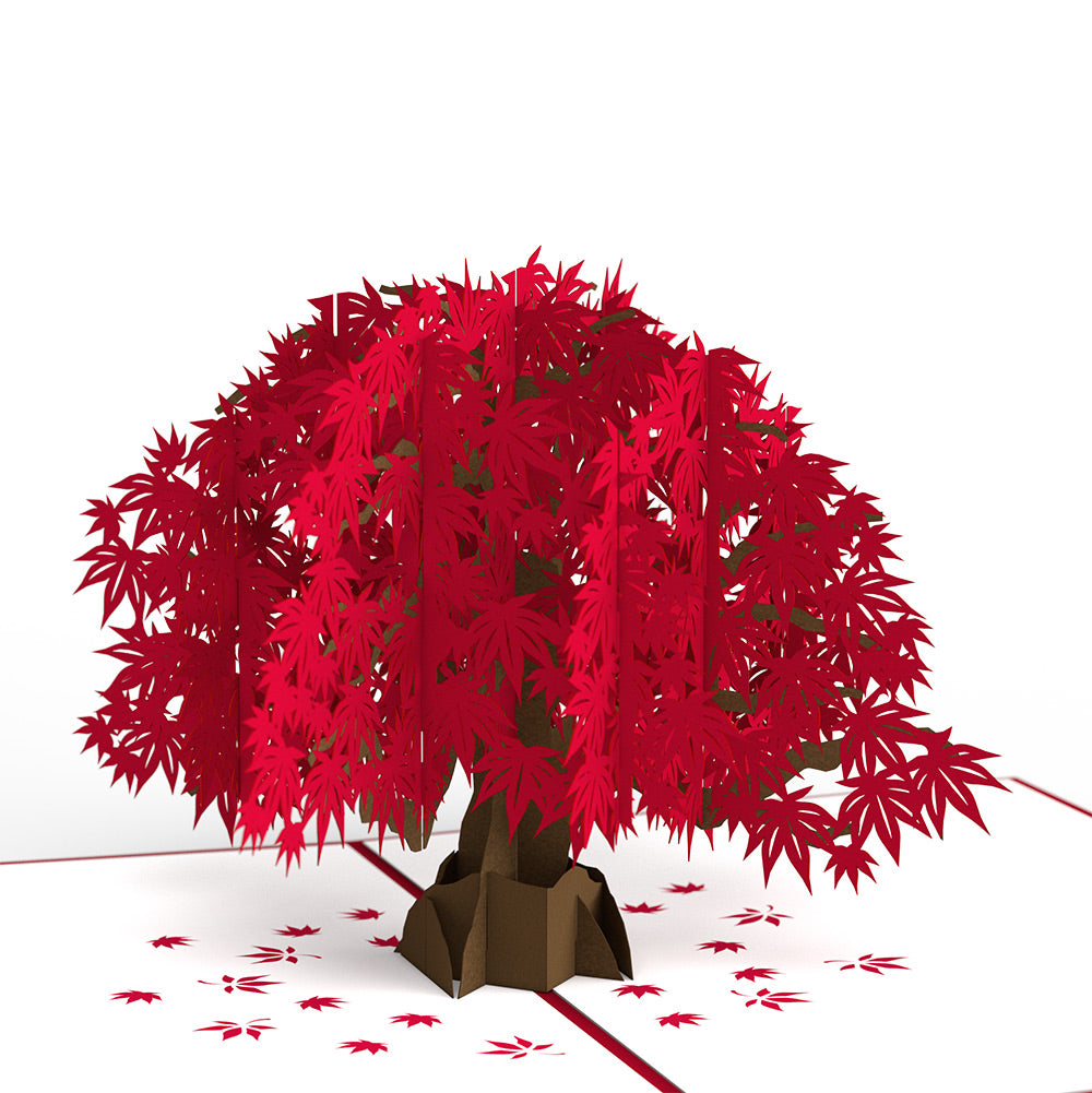 Japanese Maple Valentine Pop-Up Card and Sentiment Set for Husband