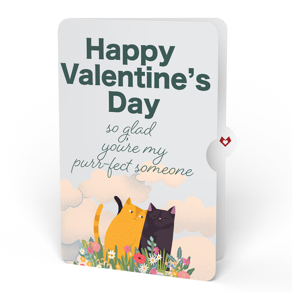 Feline Fancy Valentine Glitter Bouquet and Sentiment Set