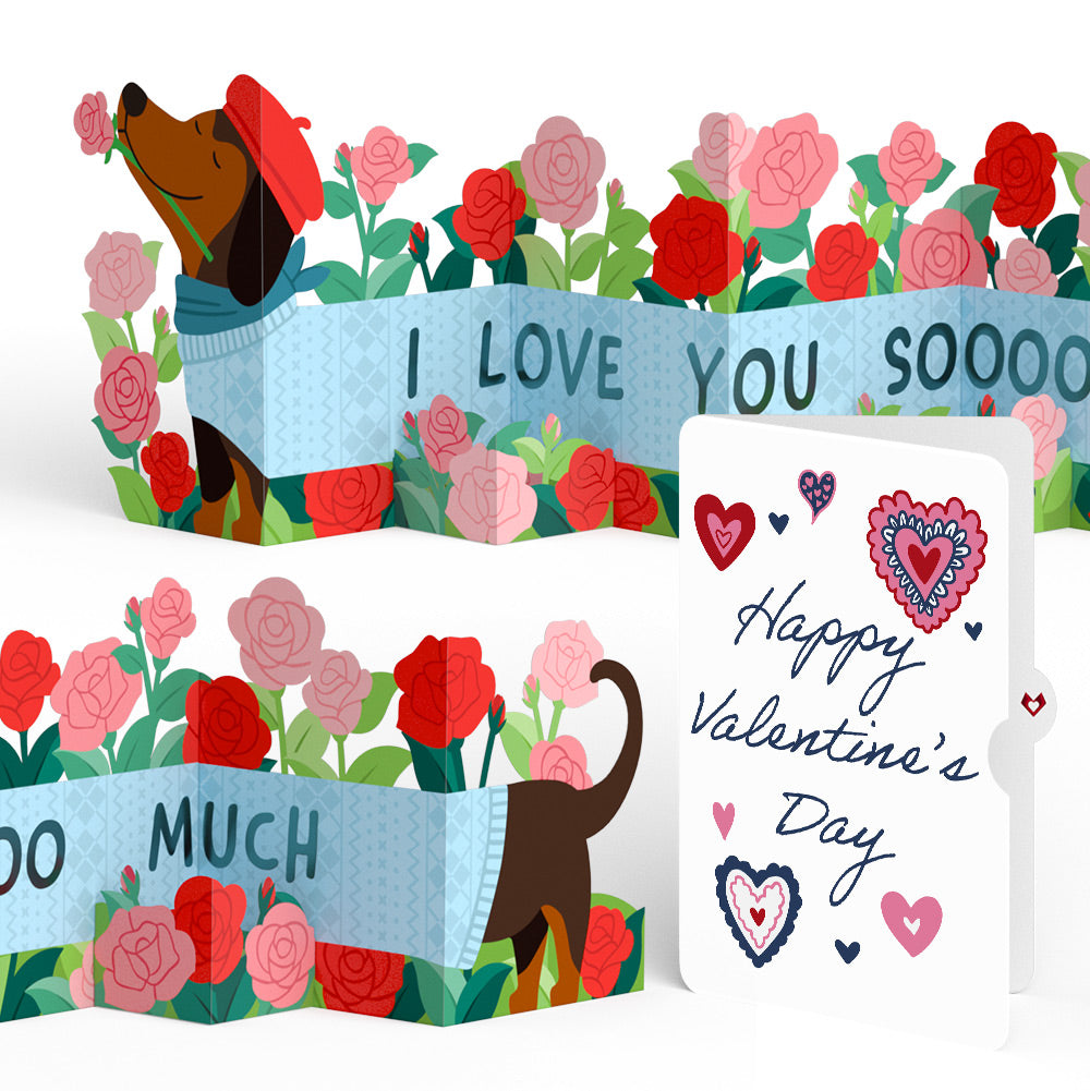 Love You So Much Dog Valentine Loooooong Card™ (Expands to 2 feet) and Sentiment Set