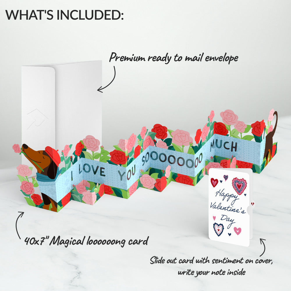 Love You So Much Dog Valentine Loooooong Card™ (Expands to 2 feet) and Sentiment Set