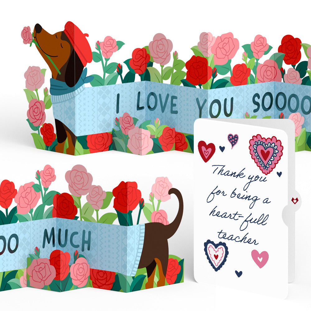 Love You So Much Dog Thank You Loooooong Card™ (Expands to 2 feet) and Sentiment Set for Teacher