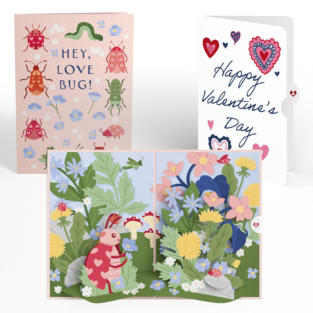 Hey, Love Bug! Pop-Up Card and Heart Motif Valentine Sentiment Set