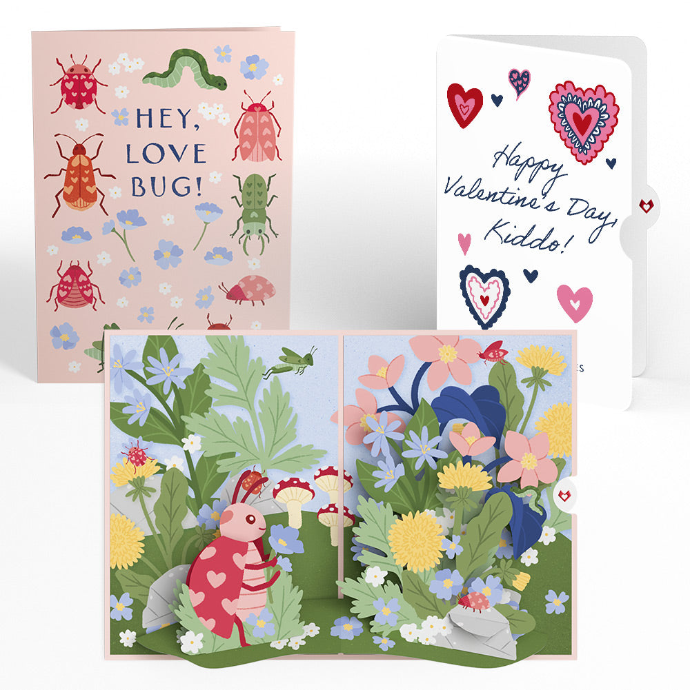 Hey, Love Bug! Pop-Up Card and Heart Motif Valentine Sentiment Set for Kiddo
