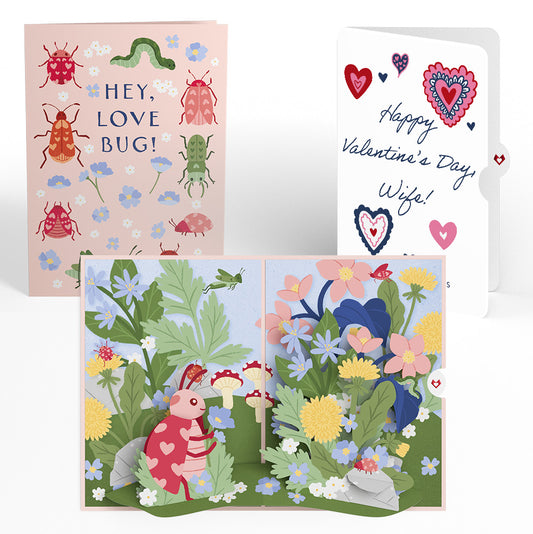 Hey, Love Bug! Pop-Up Card and Heart Motif Valentine Sentiment Set for Wife