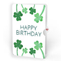 Irish Blessing Birthday Pop-Up Card and Sentiment Set