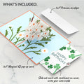 Daisies with Monarch Butterfly Birthday Pop-Up Card and Sentiment Set