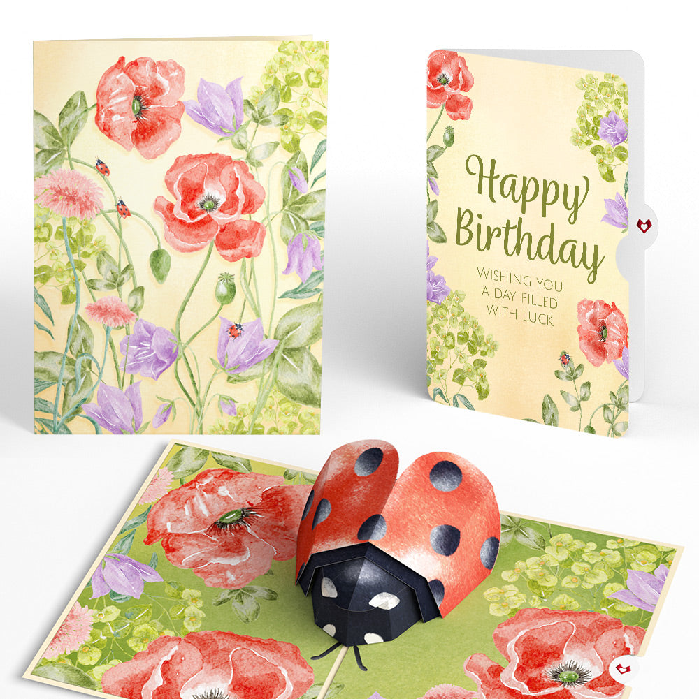 Lovely Ladybug Birthday Pop-Up Card and Sentiment Set