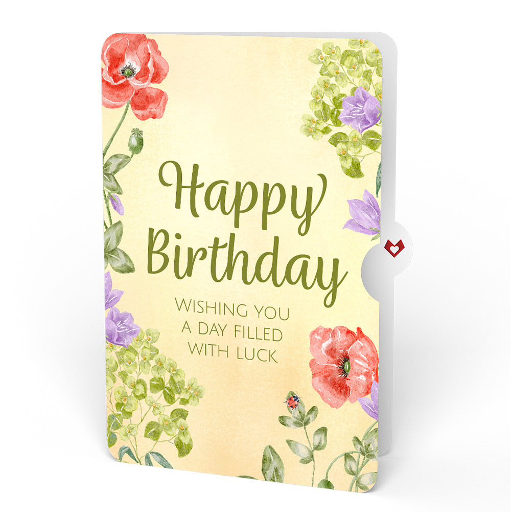 Lovely Ladybug Birthday Pop-Up Card and Sentiment Set