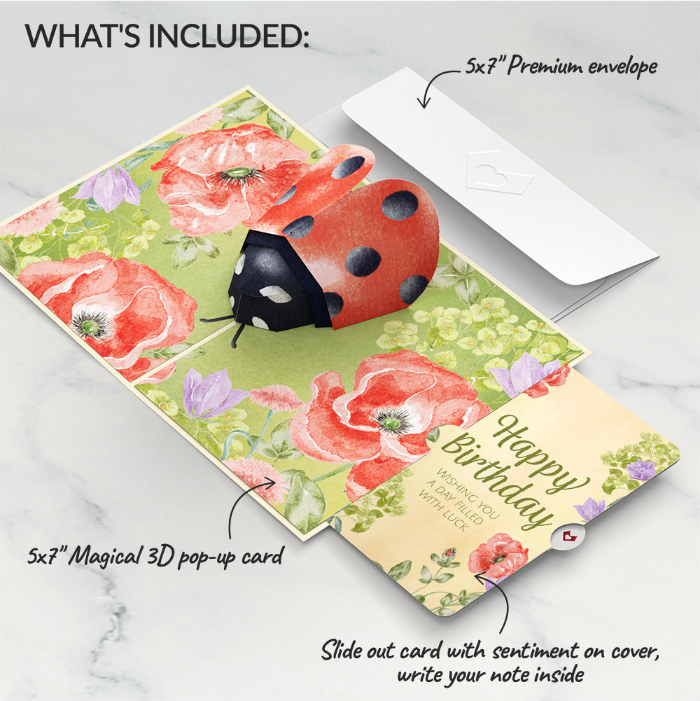 Lovely Ladybug Birthday Pop-Up Card and Sentiment Set