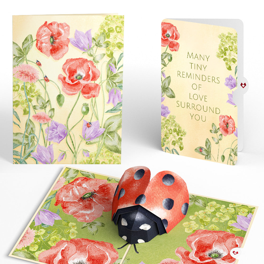 Lovely Ladybug Sympathy Pop-Up Card and Sentiment Set