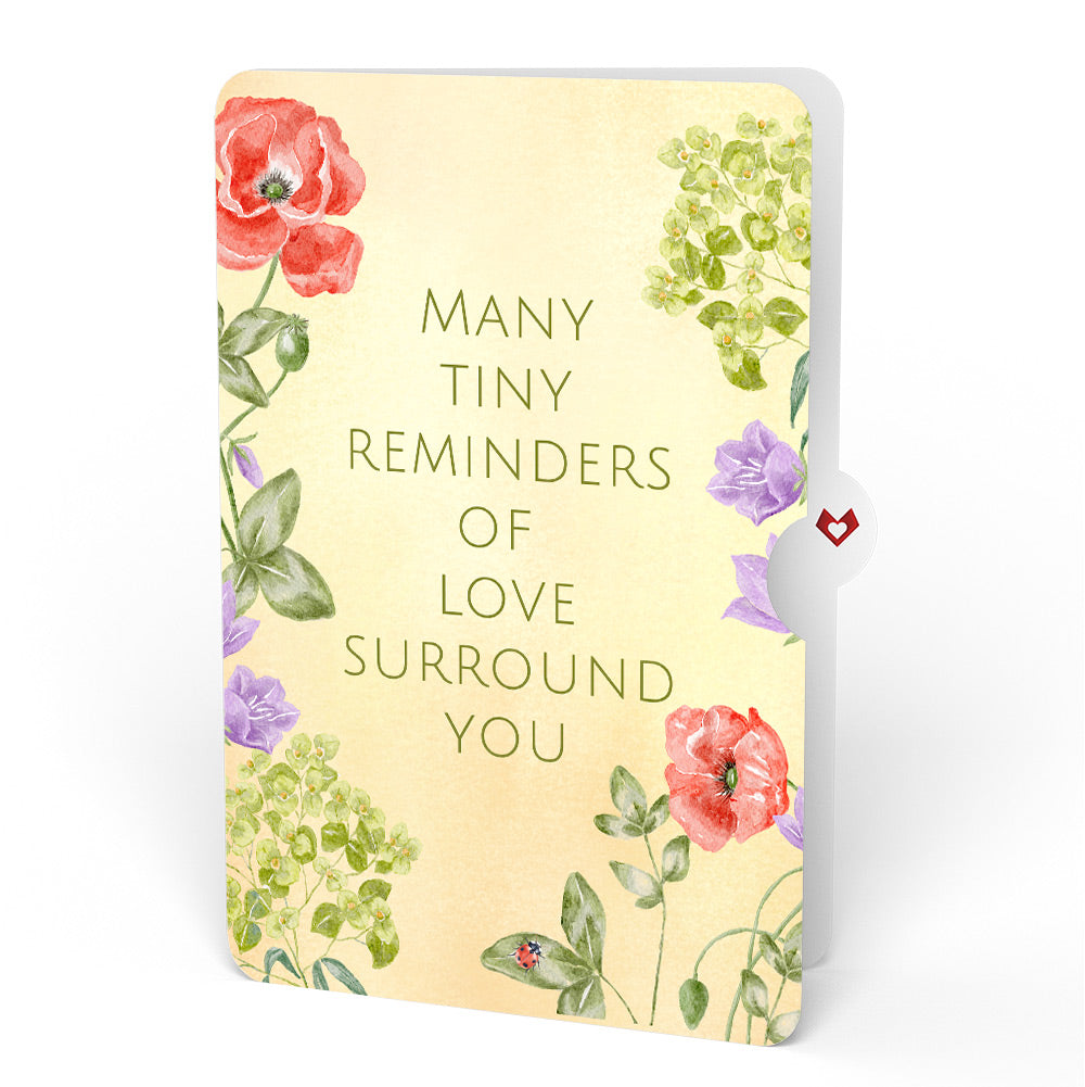 Lovely Ladybug Sympathy Pop-Up Card and Sentiment Set