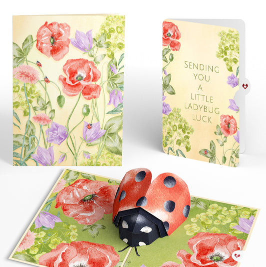 Lovely Ladybug Love Pop-Up Card and Sentiment Set