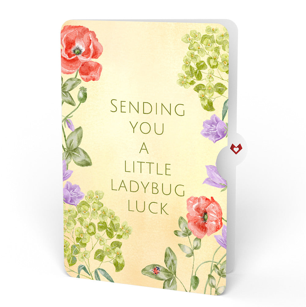 Lovely Ladybug Love Pop-Up Card and Sentiment Set