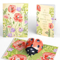 Lovely Ladybug Thinking of You Pop-Up Card and Sentiment Set