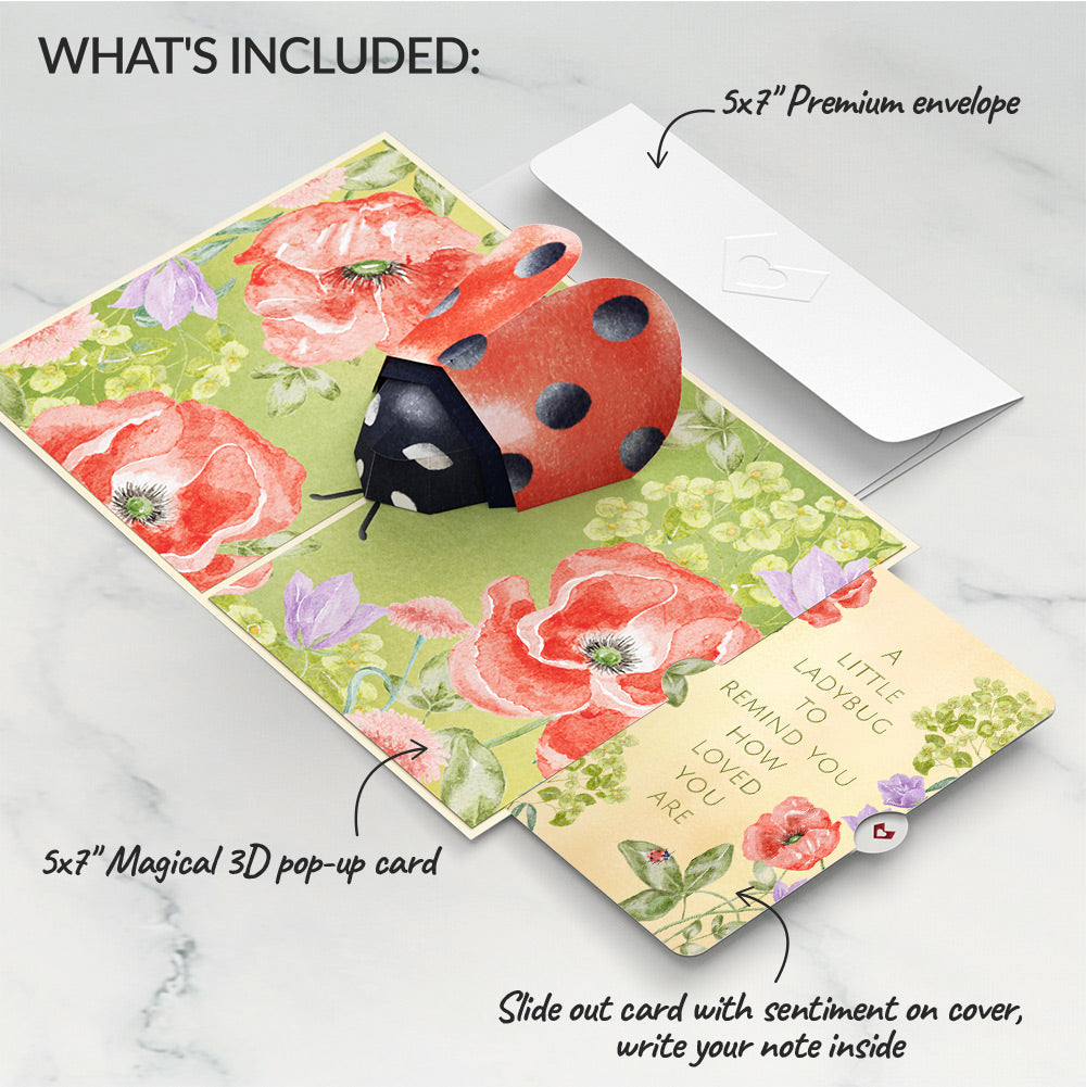 Lovely Ladybug Thinking of You Pop-Up Card and Sentiment Set