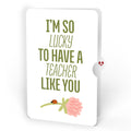 Shamrock Fields Appreciation Pop-Up Card and Sentiment Set for Teacher