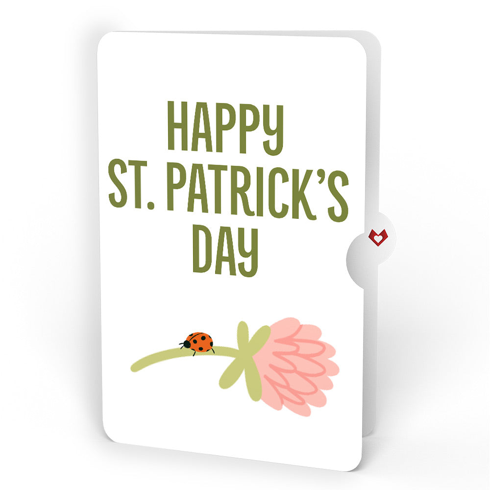 Shamrock Fields St. Patrick’s Day Pop-Up Card and Good Luck Bloom Sentiment Set