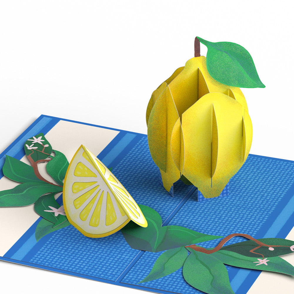 Mediterranean Lemons Thank You Pop-Up Card and Sentiment Set