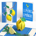 Mediterranean Lemons Congratulations Pop-Up Card and Sentiment Set