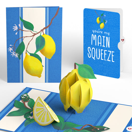 Mediterranean Lemons Love Pop-Up Card and Sentiment Set
