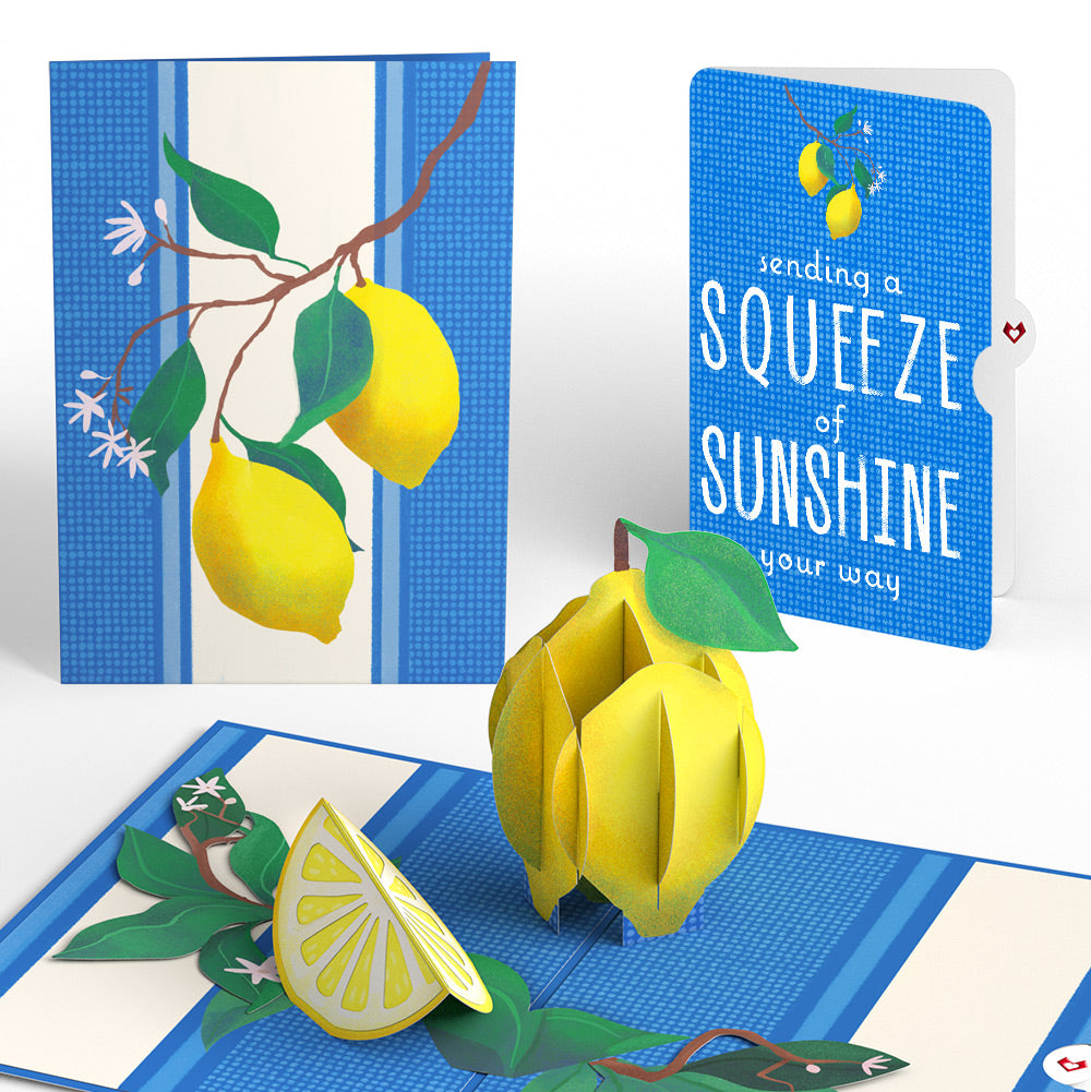 Mediterranean Lemons Thinking of You Pop-Up Card and Sentiment Set