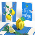 Mediterranean Lemons Thinking of You Pop-Up Card and Sentiment Set