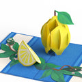 Mediterranean Lemons Thinking of You Pop-Up Card and Sentiment Set