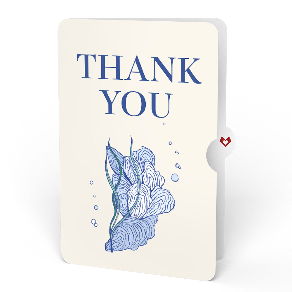 Coastal Oysters Thank You Pop-Up Card and Sentiment Set