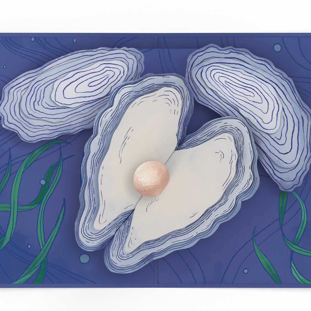 Coastal Oysters Birthday Pop-Up Card and Sentiment Set
