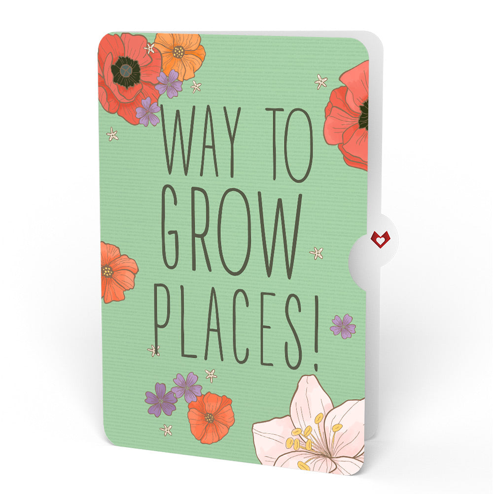 Through the Garden Gate Congratulations Pop-Up Card and Sentiment Set
