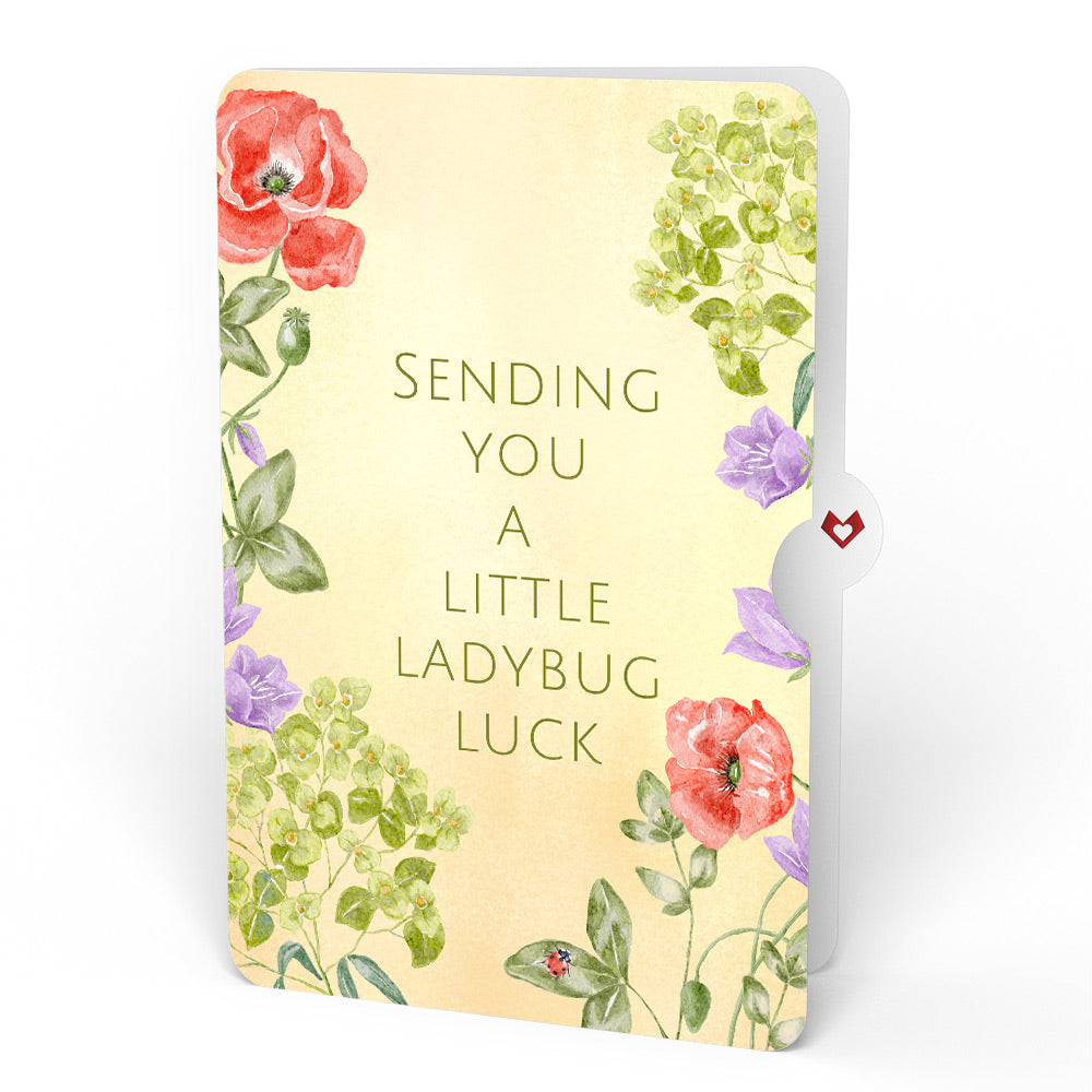 Lovely Ladybug Love Glitter Bouquet and Sentiment Set