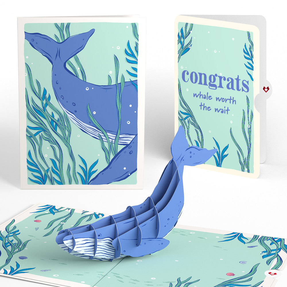 Whale Beneath the Waves Congratulations Pop-Up Card and Sentiment Set