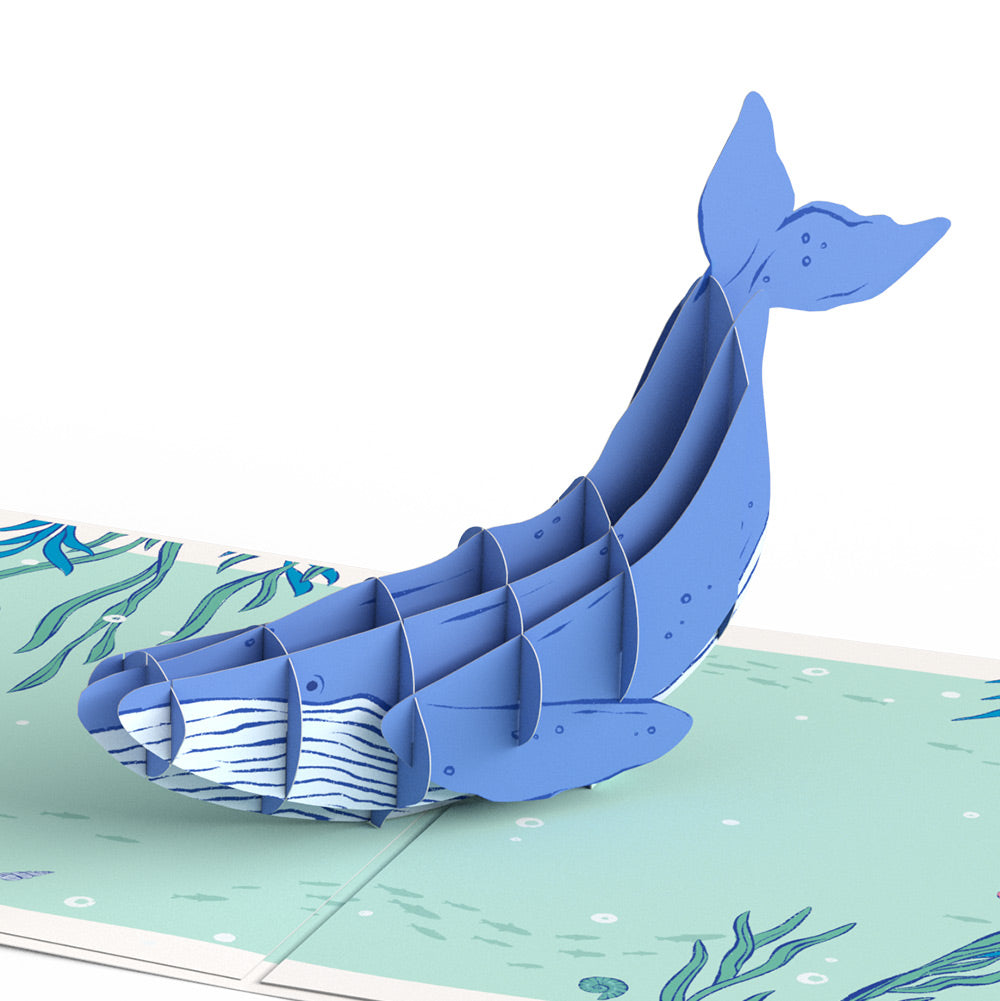 Whale Beneath the Waves Congratulations Pop-Up Card and Sentiment Set