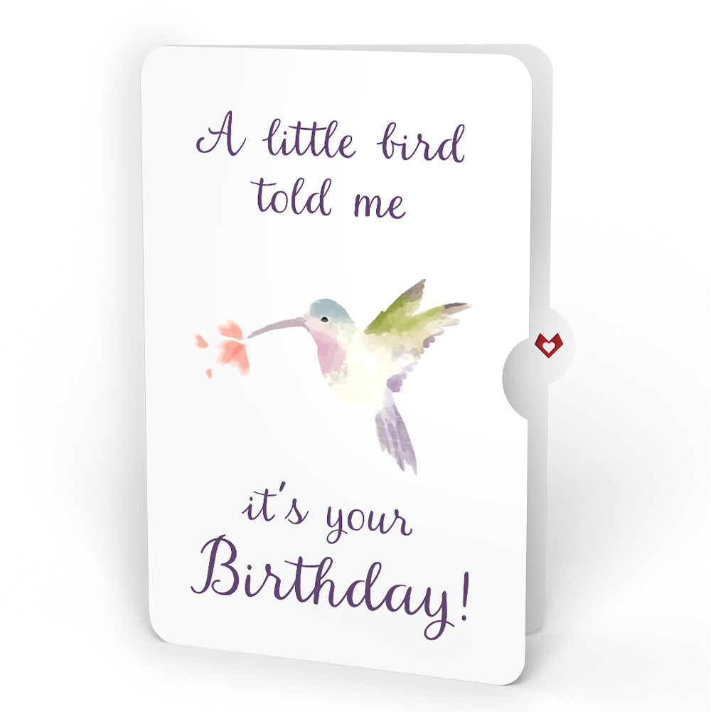 Daisy Patch Hummingbirds Birthday Pop-Up Card and A Little Hummingbird Kisses Sentiment Set