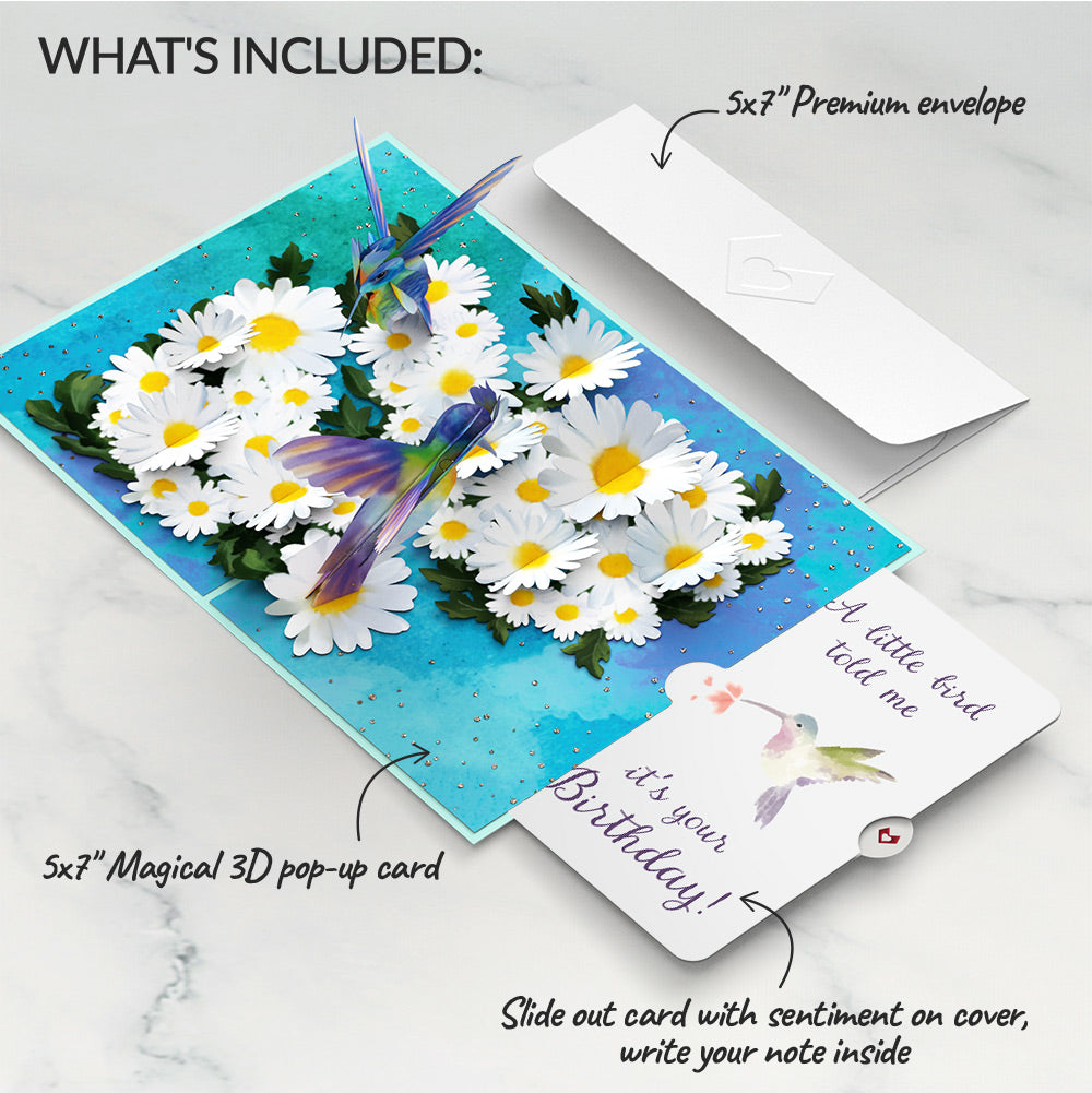 Daisy Patch Hummingbirds Birthday Pop-Up Card and A Little Hummingbird Kisses Sentiment Set