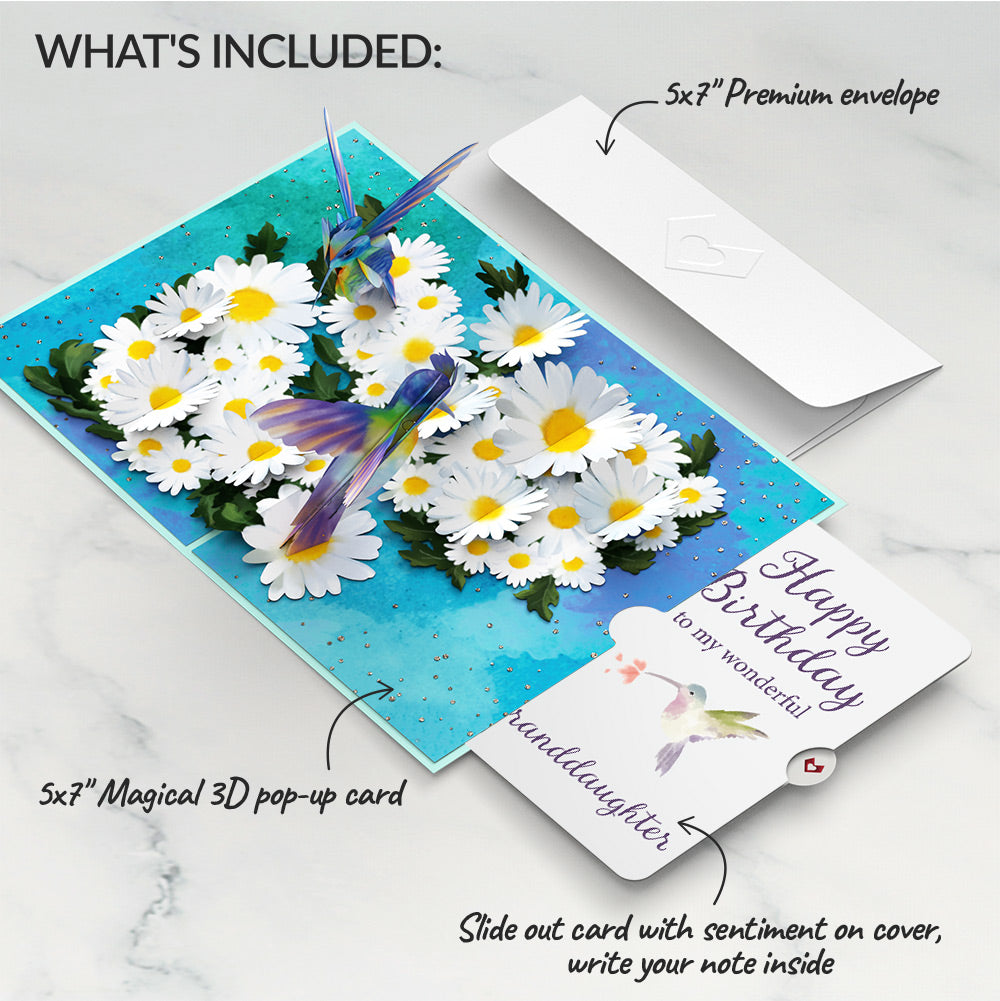 Daisy Patch Hummingbirds Birthday Pop-Up Card and Sentiment Set for Granddaughter